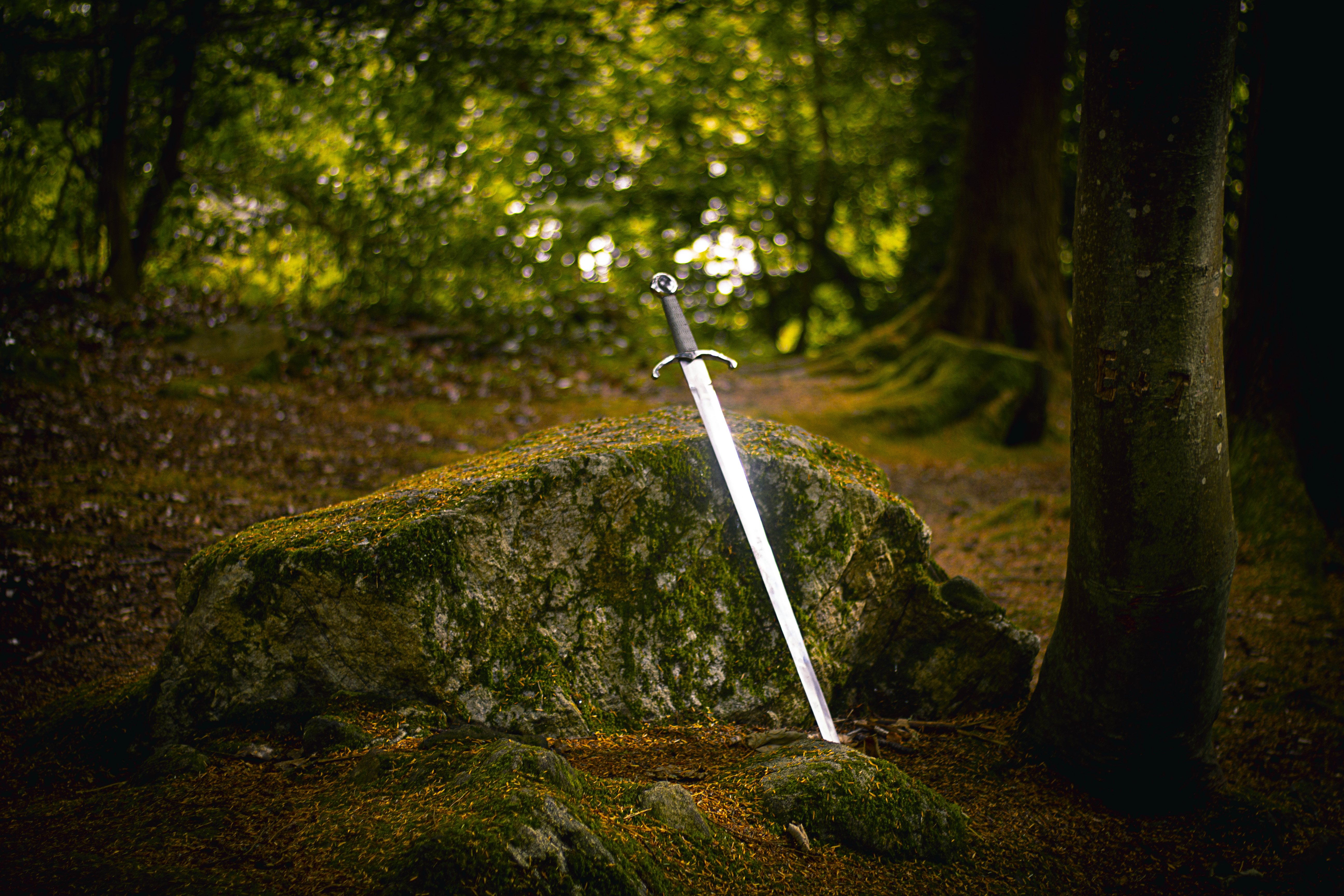 shirts hanning in a row